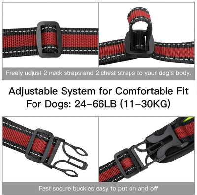 Adjustable Dog Action Camera Harness Mount Vest
