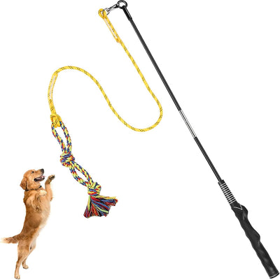 Interactive Dog Flirt Pole for Chase Training