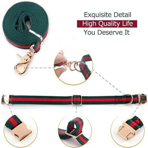 Dog Collar Set | Adjustable Durable Leash & Metal Buckle