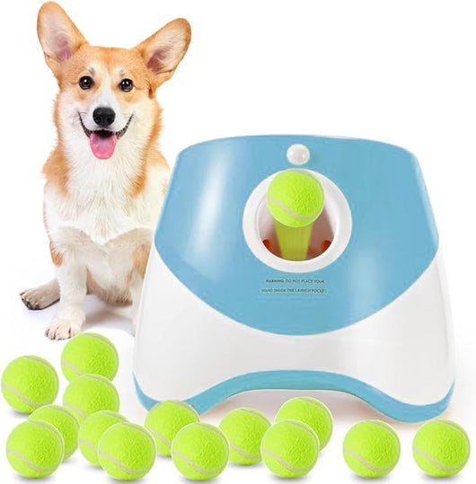 Mini Dog Ball Launcher | Automatic Fetch Toy