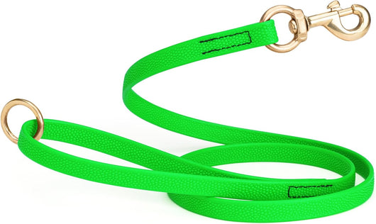 Waterproof Biothane Dog Leash for Training Adventures