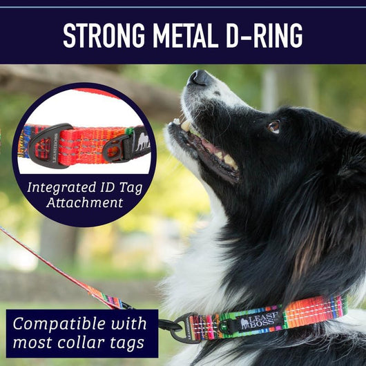 Reflective Patterned Dog Collar Large