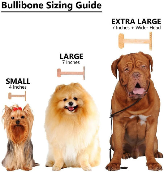 Dental Nylon Dog Chew Toy with Bacon Flavor