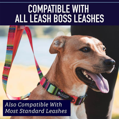 Reflective Patterned Dog Collar Large