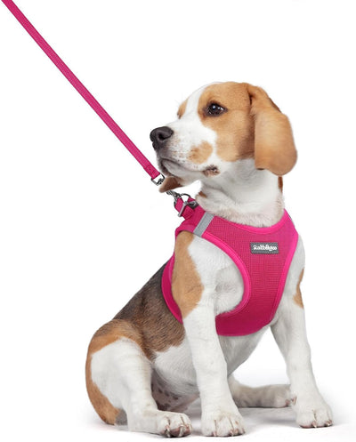 Step In Puppy Harness With Leash Walking Set