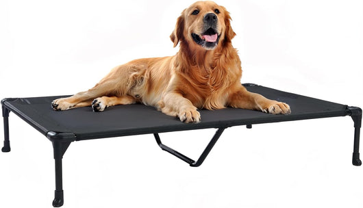 Cooling Dog Mat For Large Training Dogs