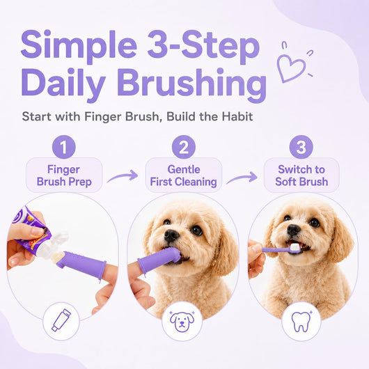 Small Dog Toothbrush Kit With Dental Toothpaste