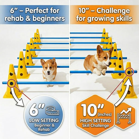 Adjustable Backyard Dog Agility Hurdle Training Set