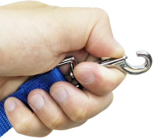 Leash Long-Distance Recall Training Freedom For Dogs