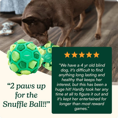 Washable Snuffle Ball for Bored Restless Dogs