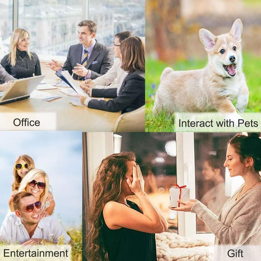 Eight-Color Recordable Dog Communication Buttons Training Set