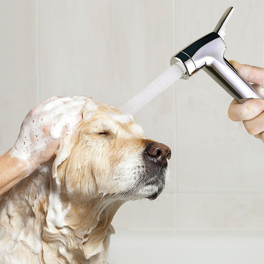 Dog Shower Attachment for Fast Indoor Bath