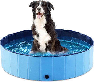 Foldable Dog Swimming Pool for Summer Adventures