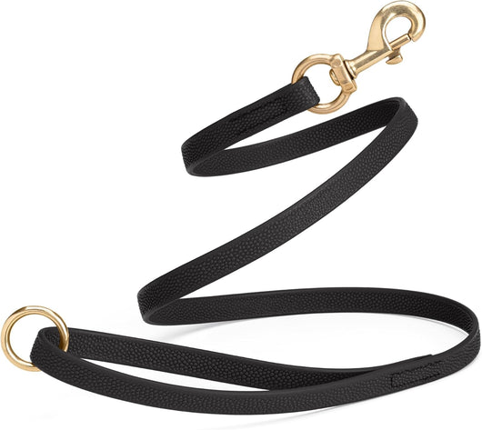 Waterproof Biothane Dog Leash for Training Adventures