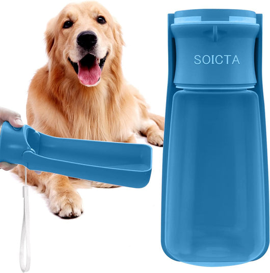 Foldable Dog Water Bottle for Travel
