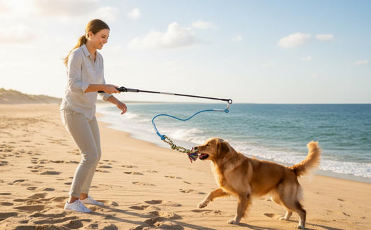Interactive Dog Flirt Pole for Chase Training
