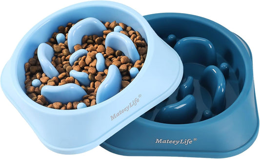 Slow Feeder Puppy Bowl For Healthy Eating Habits