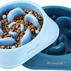 Slow Feeder Puppy Bowl For Healthy Eating Habits