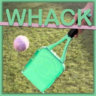 Dog Ball Thrower with 3 Balls