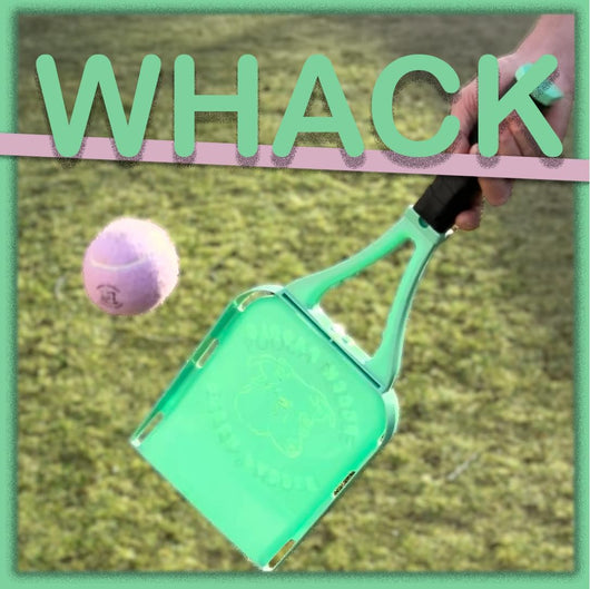 Dog Ball Thrower with 3 Balls