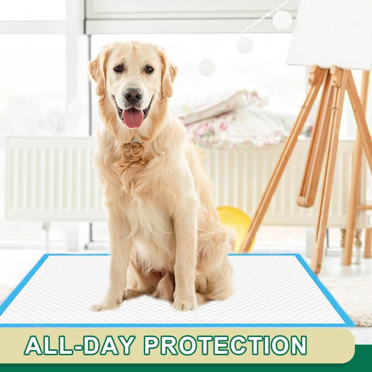 Puppy Training Pads For Easy Clean Potty Training