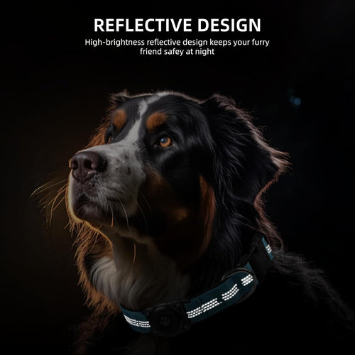 Waterproof AirTag Dog Collar