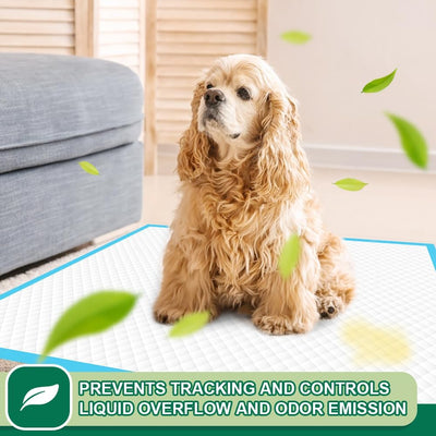 Puppy Training Pads For Easy Clean Potty Training