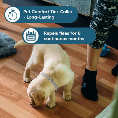 Flea and Tick Collar for Small Dogs