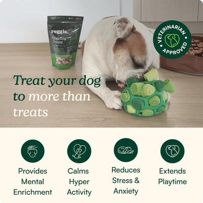 Washable Snuffle Ball for Bored Restless Dogs
