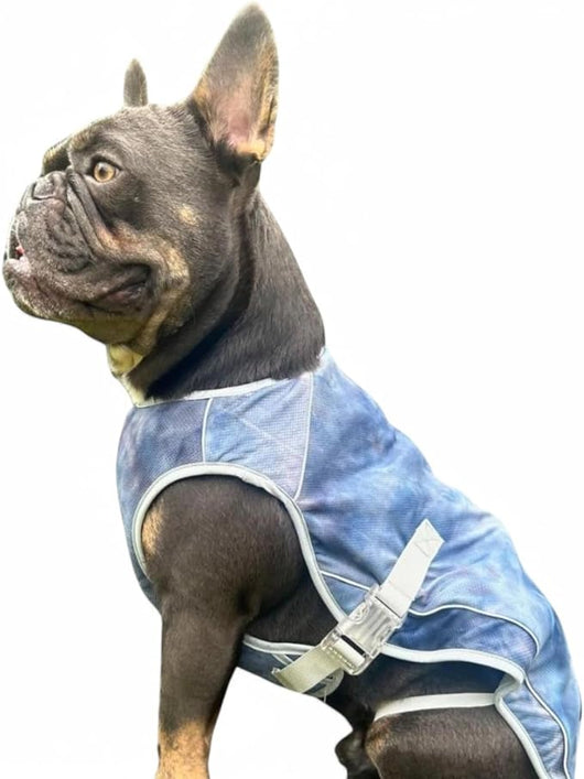 Evaporative Dog Cooling Vest for Summer Adventures