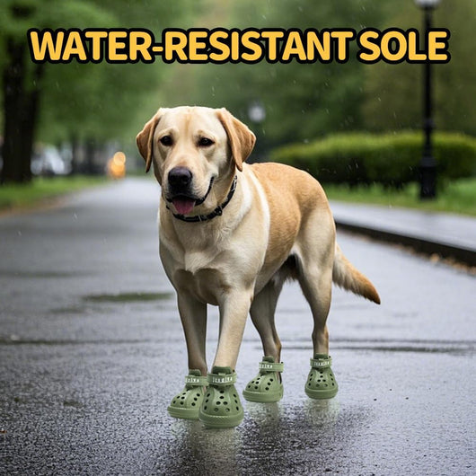 Dog Shoes | Breathable Anti-Slip Hot Pavement Shoes