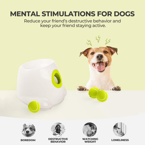 Automatic Dog Ball Launcher | Small Dog Fetch Toy