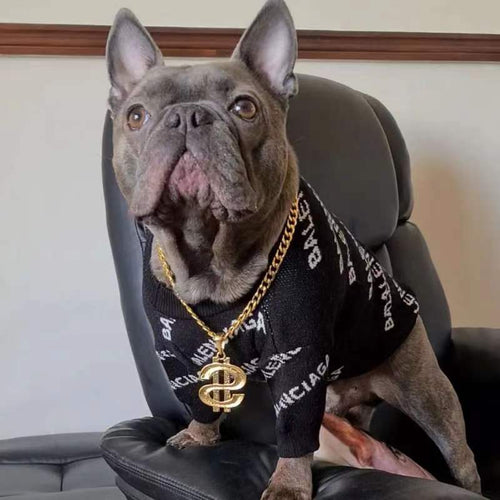 Balenciaga Fly Sweater