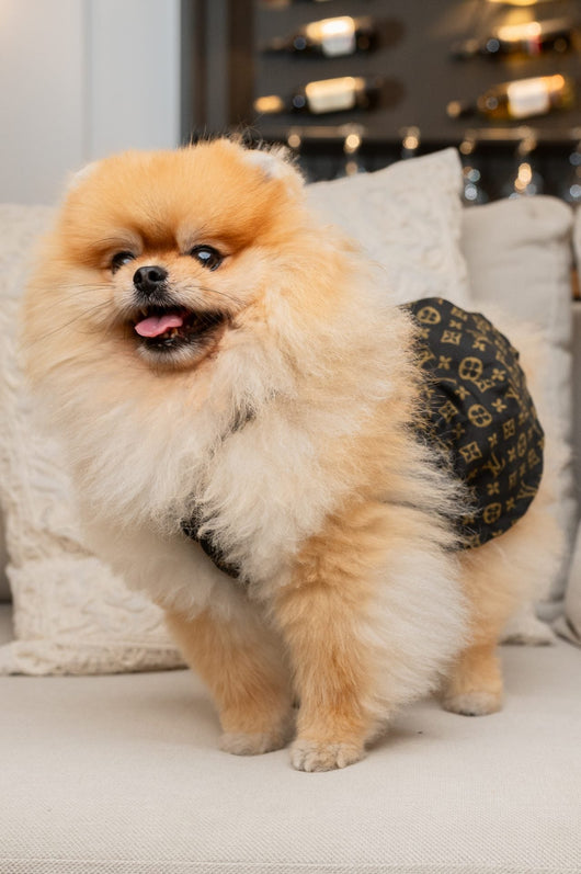 LV Pup Monogram Dreamy Dress
