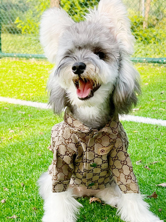 Pet Dog Prime Clothes
