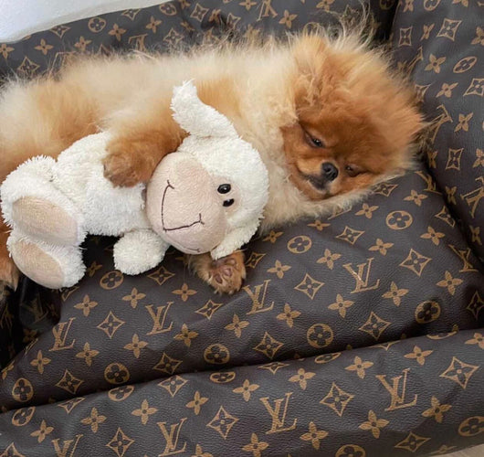 LV Essentials Dog Redux Bed