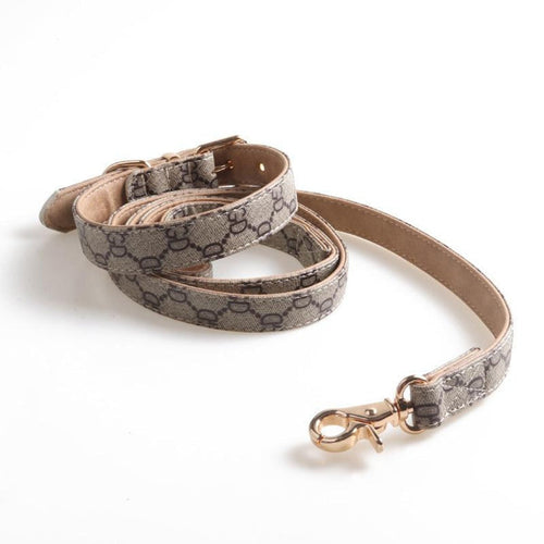 Olivia Collar & Leash Dreamy Set