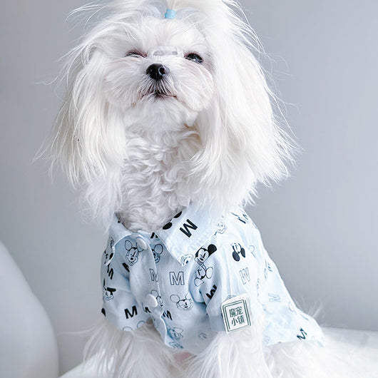 Big Dog Happy Summer Breeze Shirt
