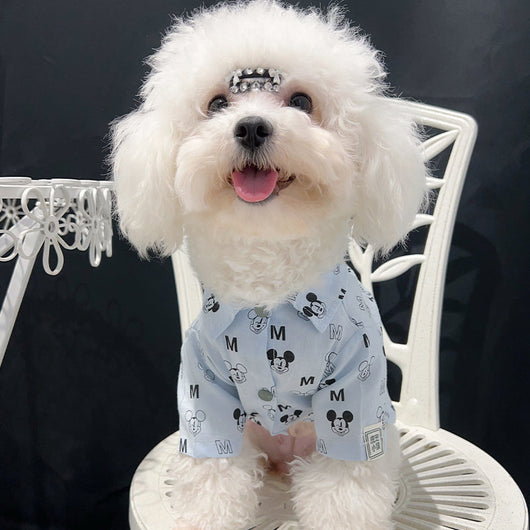 Big Dog Happy Summer Breeze Shirt