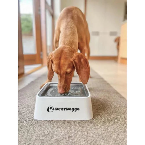 Dear Doggo Anti Splash Safe Dog Sleek Bowl