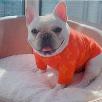 Hype Drip Boss Whimsical Sweater