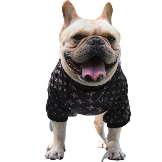 Hype Doggo  Sweater