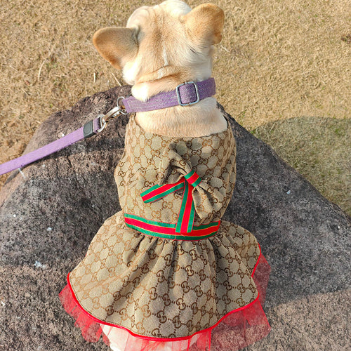 GG Luxury Summer Posh Dress