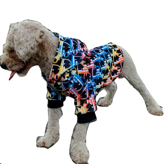 DD Classic Winter Lit Hoodie