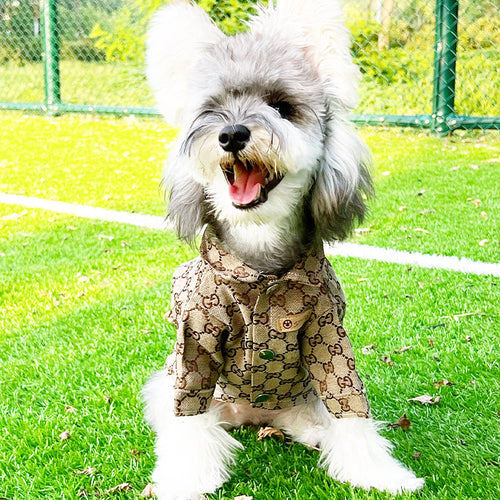 Big Dog GG Chill Shirt