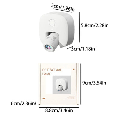 Pet Photos Guided Walk Social Light Banger Collar