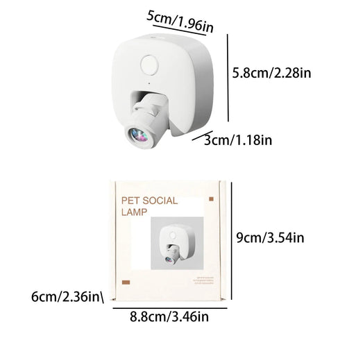 Pet Photos Guided Walk Social Light Banger Collar