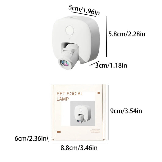 Pet Photos Guided Walk Social Light Banger Collar