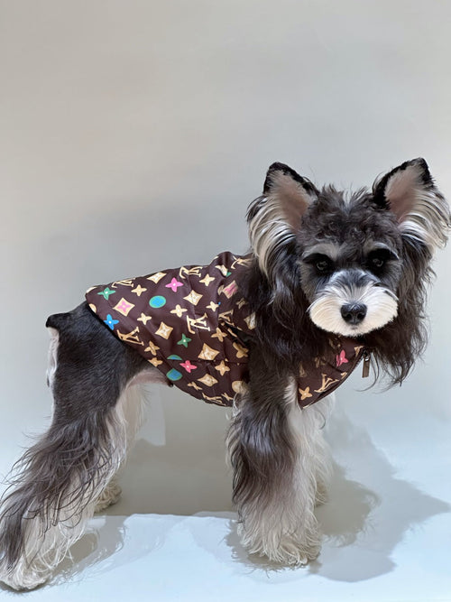 Pet Dog Retro Clothes