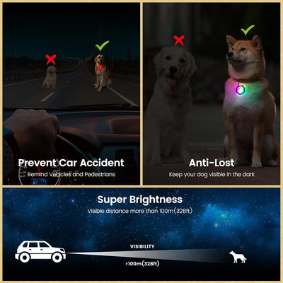 Rechargeable Dog Collar Lights for Night Walks